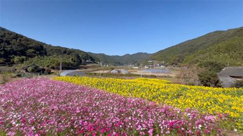 西予市 デリヘル|西予市のデリヘル一覧 